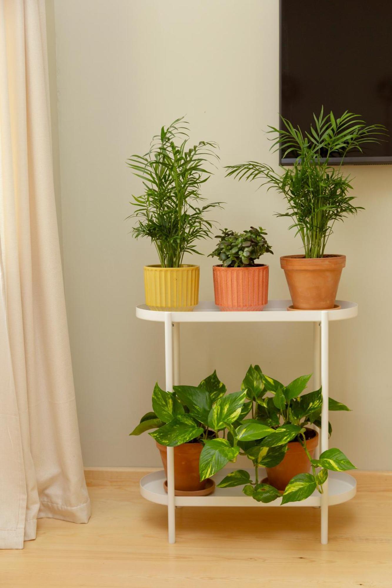 Lemon Apartments Stambuł Zewnętrze zdjęcie